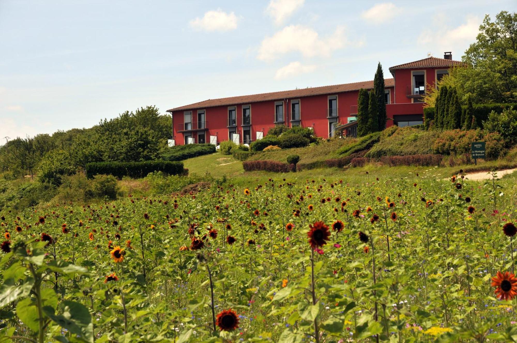 Hotel Restaurant La Montagne De Brancion Martailly-les-Brancion Екстер'єр фото